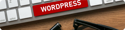 Our WordPress Website