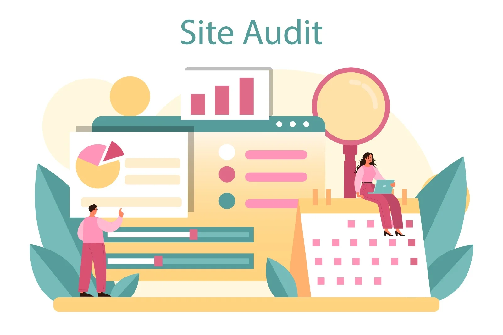 Full Site Audits