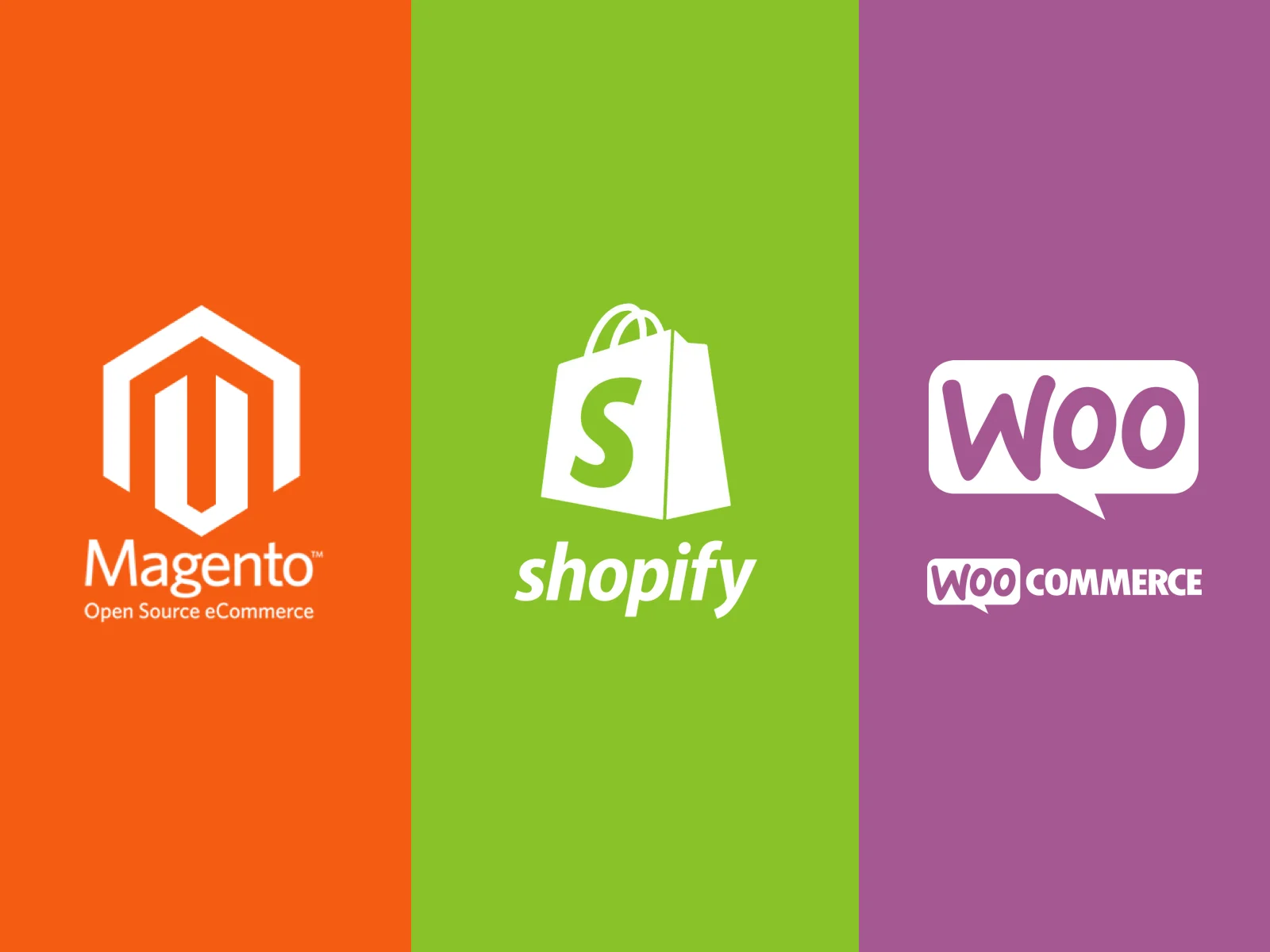 SEO for Shopify, WooCommerce, Magento & More