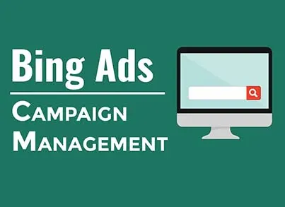 Bing Ads Strategy and Campaign Management